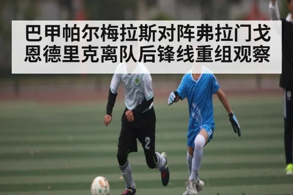 巴甲帕尔梅拉斯对阵弗拉门戈 恩德里克离队后锋线重组观察（kaiyun）