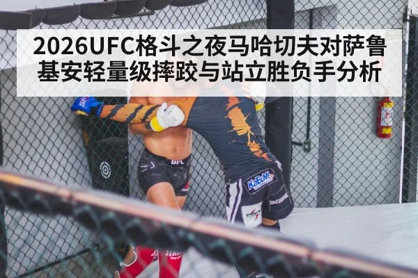 mma fighters grappling octagon
